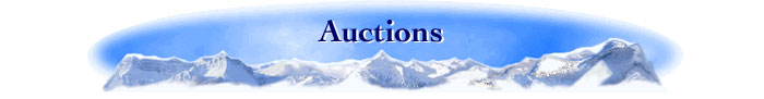 Lange Auction Realty, LLC